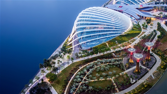 Gardens by the Bay Singapore