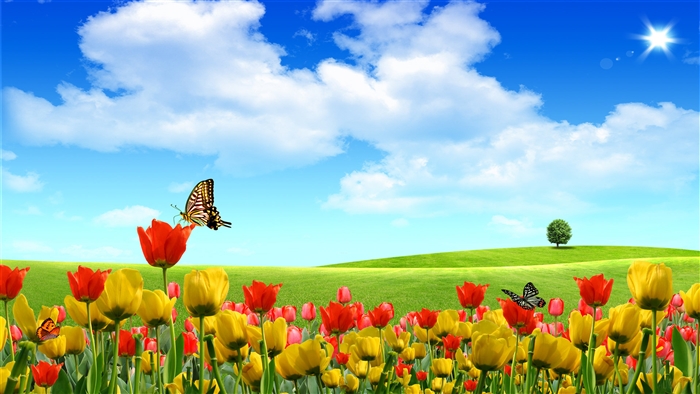 Field of Tulips with Butterflies and a Distant Tree