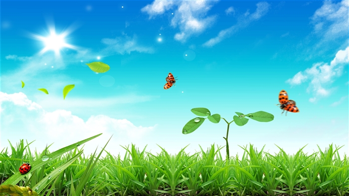 Fresh Life