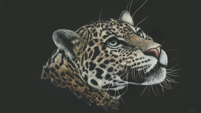 Leopard Artwork 4K