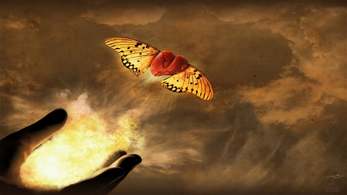 Heart with Butterfly Wings Flying from Hand