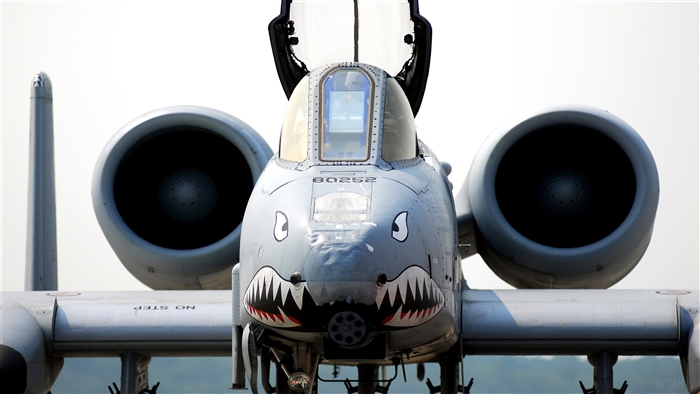 A-10C Thunderbolt II "Shark Mouth" 4K