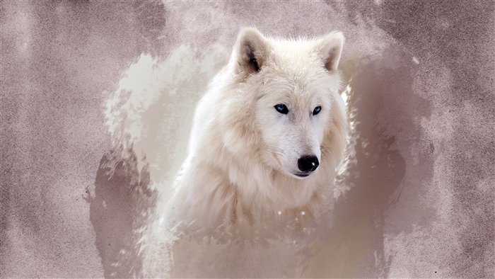 The Wolf