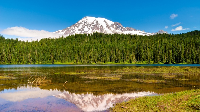 Mount Rainier reflected in a lake with a forest