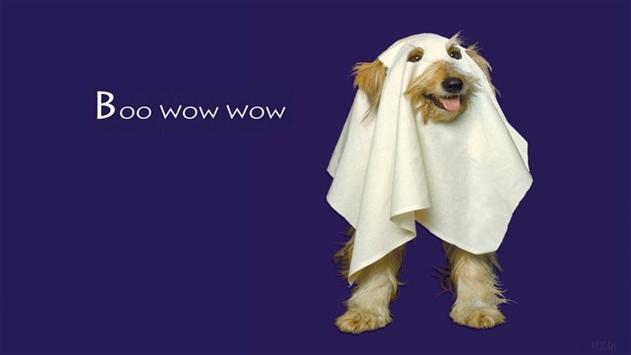 Dog dressed as a ghost saying Boo Wow Wow 4K