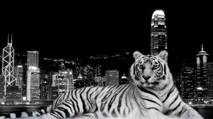 White Tiger in a Cityscape at Night 4K