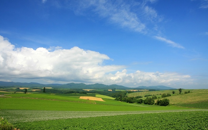 Rolling green hills under a blue sky with clouds
