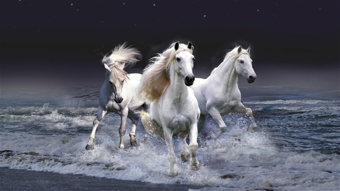 Mystic Horses Running in Water 4K
