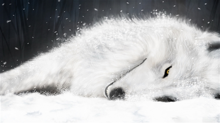 White wolf in snow 4K