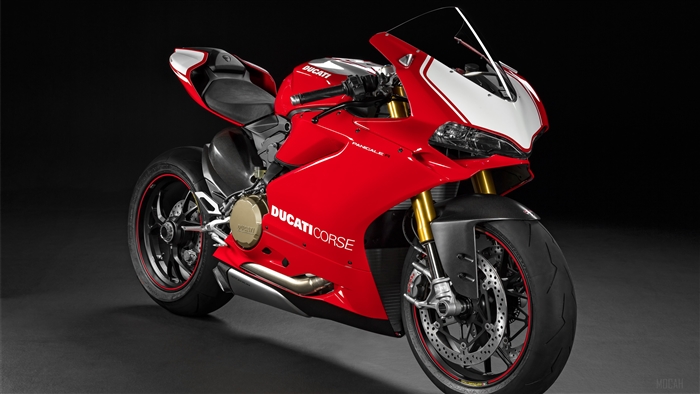 Ducati Panigale R Superbike