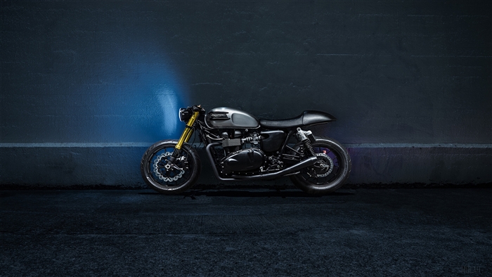 Triumph Bonneville The Bullitt