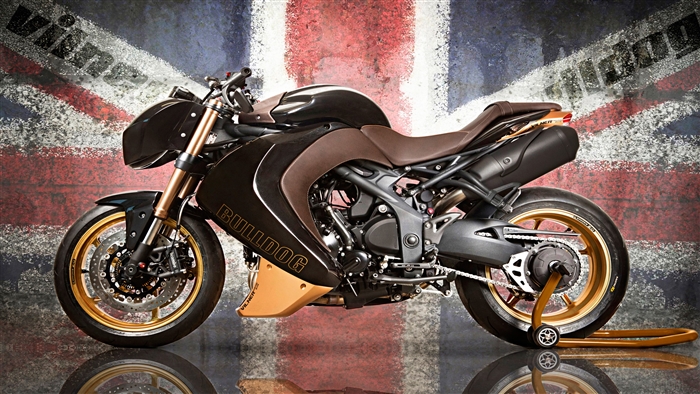 Vilner Bulldog Triumph Speed Triple 4K