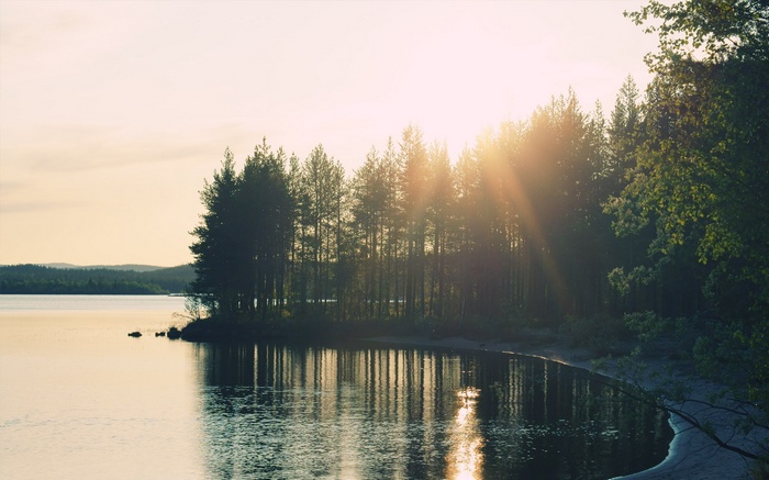 Sunlight filtering through trees onto a lake