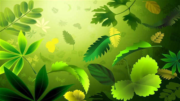 Green Leaves 4K