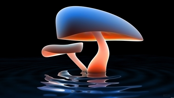 Glowing Mushrooms in Water 4K