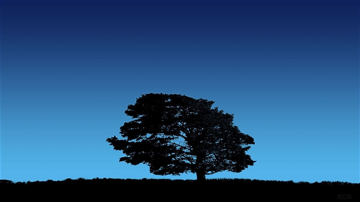 Tree On Blue Sky