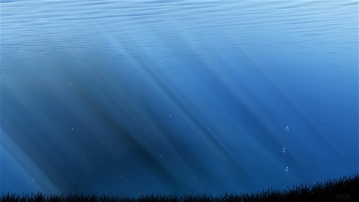 Underwater scene with sun rays and grass