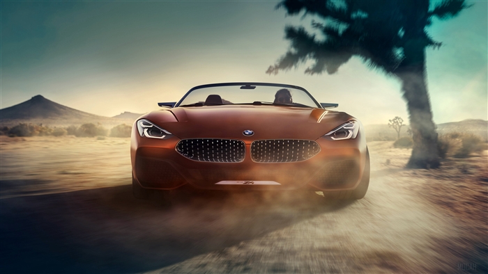 2017 BMW Concept Z4