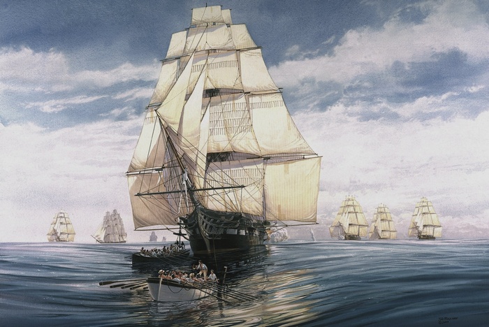 Sailing ships and rowboats on the sea