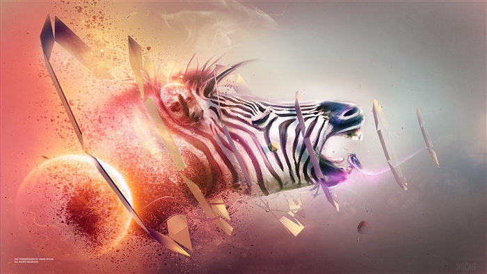 Zebra Transition