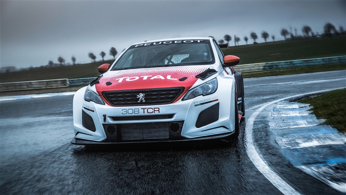 2018 Peugeot 308 TCR race car on track