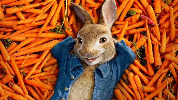 Peter Rabbit from Peter Rabbit 4K