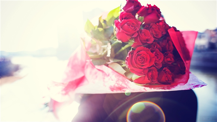 Bouquet of Red Roses 4K