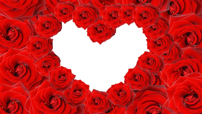 Red Roses forming a Love Heart 4K