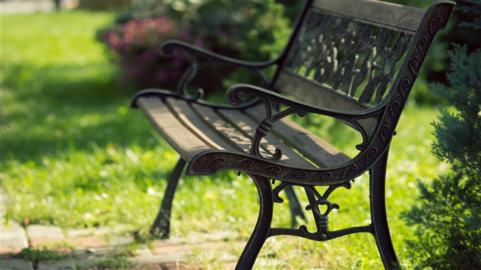 Ornate park bench in a garden