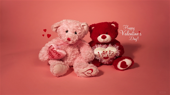 Two teddy bears with Valentine's Day theme 4K