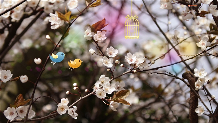 Welcome Spring