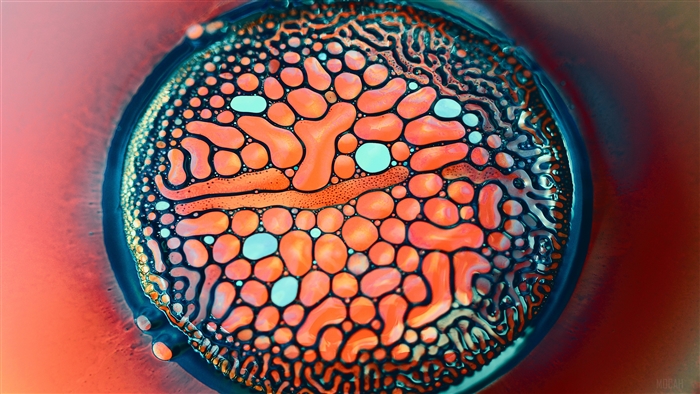 Metalliferous