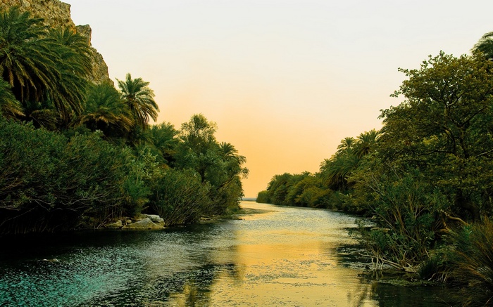 River flowing through a palm-lined canyon at sunset