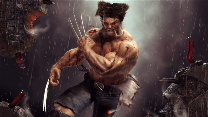 Wolverine Artwork