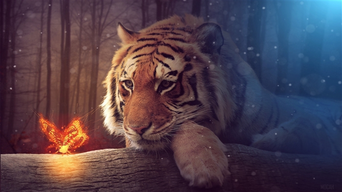 Tiger and glowing butterfly in forest 4K