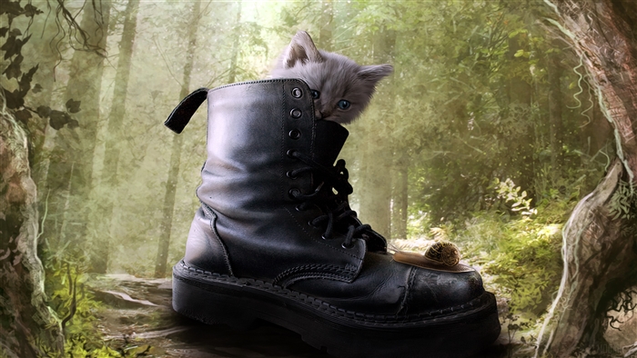 Kitten in a boot in a forest 4K