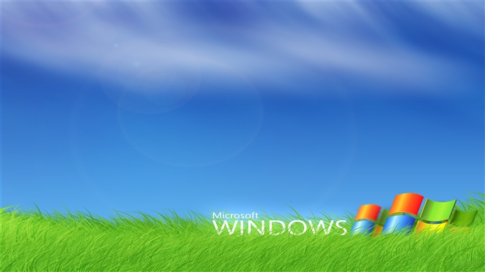Microsoft Windows logo in grass 4K