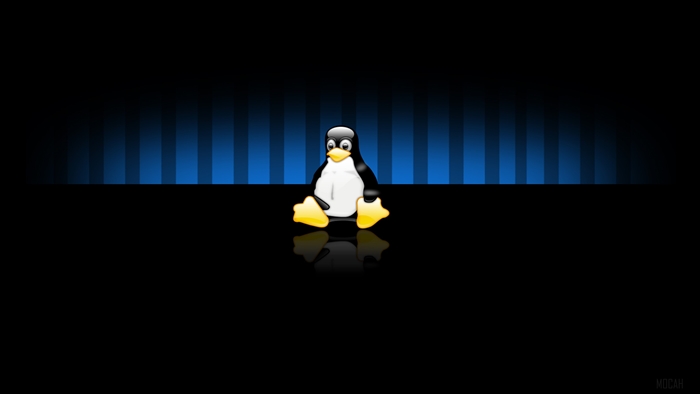 Tux the Linux Penguin 4K