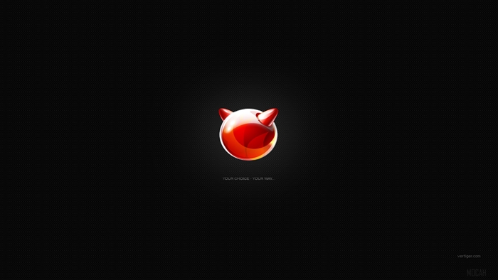 FreeBSD logo with text