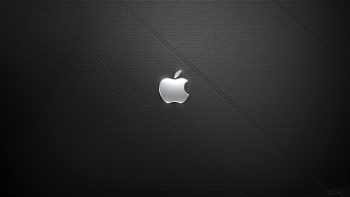 Shiney Steel Apple