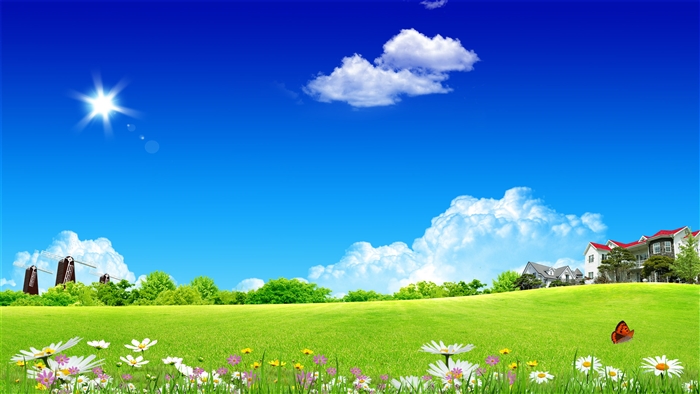 Clean Home Sky