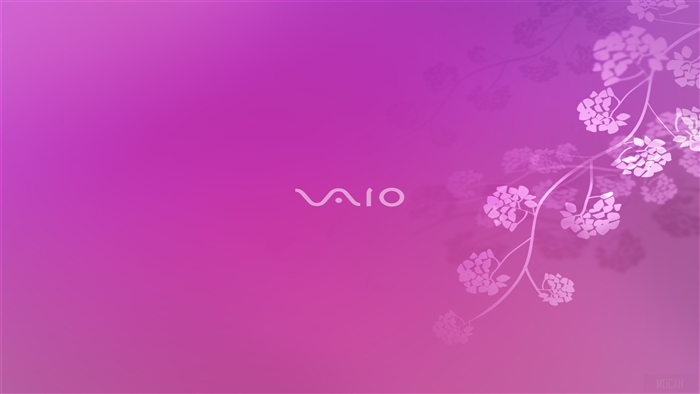 Sony VAIO 4K