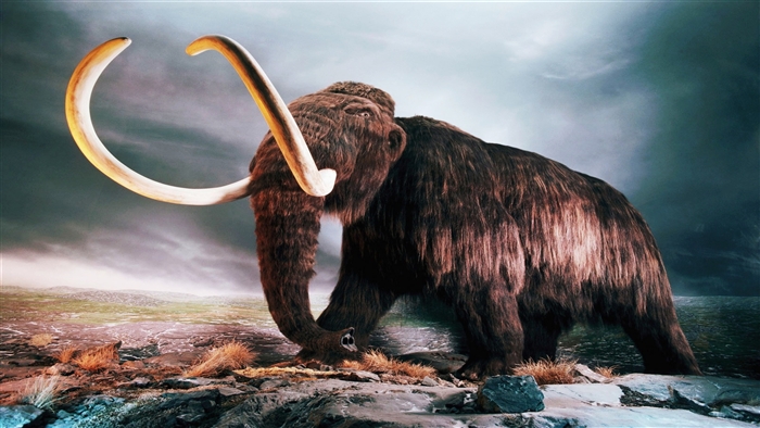 Woolly Mammoth in a prehistoric landscape 4K