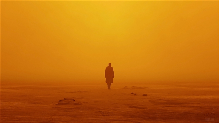 Officer K from Blade Runner 2049 4K