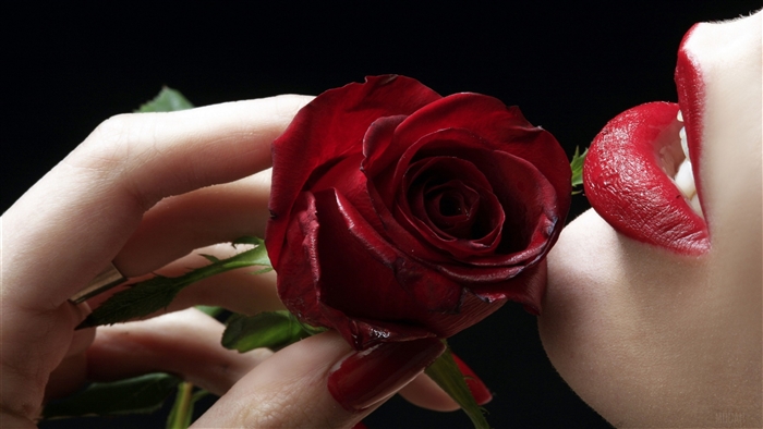 Red Rose and Red Lips