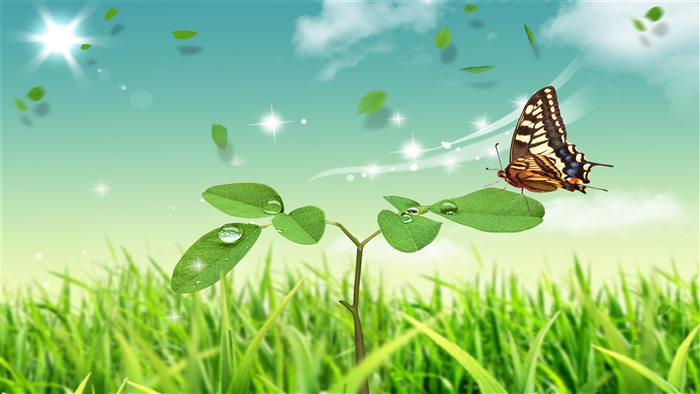 Butterfly on a leaf with grass and sun