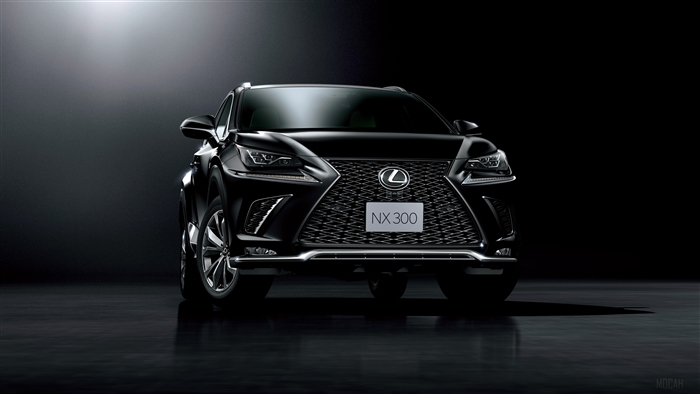 2018 Lexus NX 300 F Sport