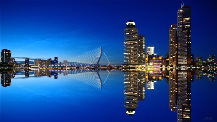 Rotterdam Netherlands Skyline with Erasmus Bridge at Night 4K