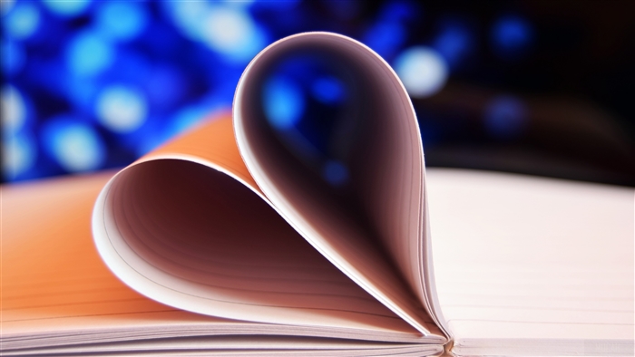 Love Heart Notebook Pages