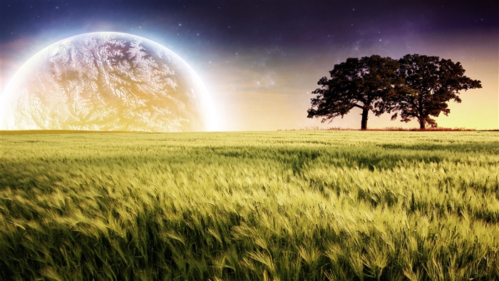 Planet over a field with trees 4K